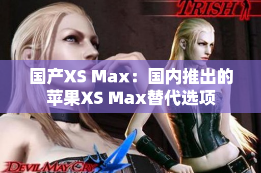 国产XS Max：国内推出的苹果XS Max替代选项