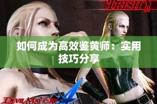 如何成为高效鉴黄师：实用技巧分享