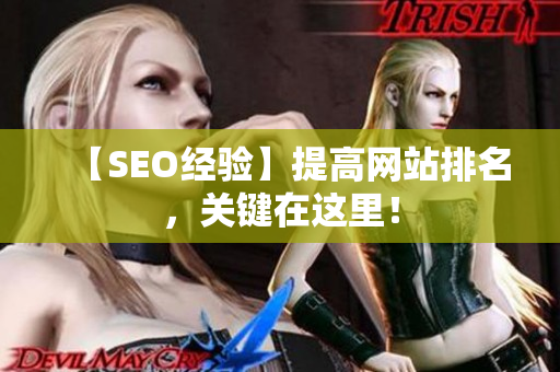 【SEO经验】提高网站排名，关键在这里！