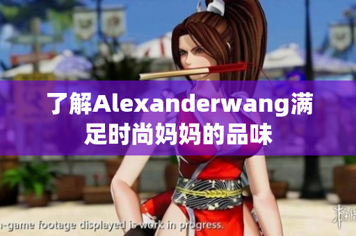 了解Alexanderwang满足时尚妈妈的品味
