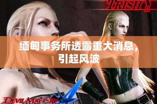 缅甸事务所透露重大消息，引起风波
