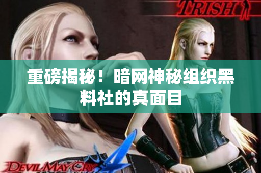 重磅揭秘！暗网神秘组织黑料社的真面目