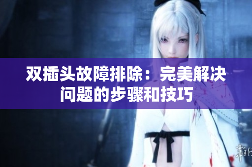 双插头故障排除：完美解决问题的步骤和技巧