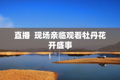 直播  现场亲临观看牡丹花开盛事