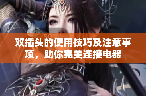 双插头的使用技巧及注意事项，助你完美连接电器