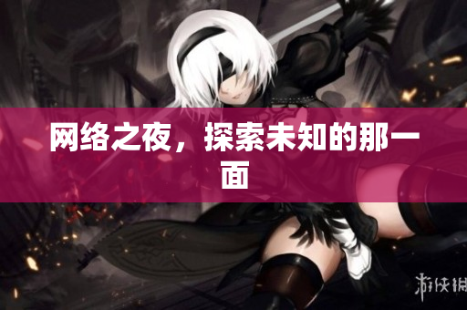 网络之夜，探索未知的那一面