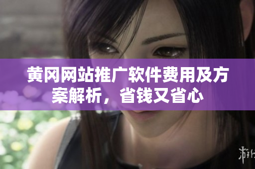 黄冈网站推广软件费用及方案解析，省钱又省心