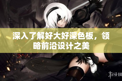 深入了解好大好深色板，领略前沿设计之美