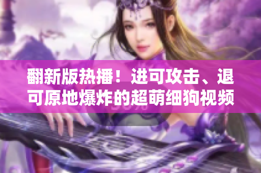 翻新版热播！进可攻击、退可原地爆炸的超萌细狗视频！