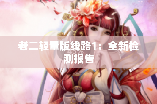 老二轻量版线路1：全新检测报告