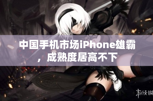 中国手机市场iPhone雄霸，成熟度居高不下