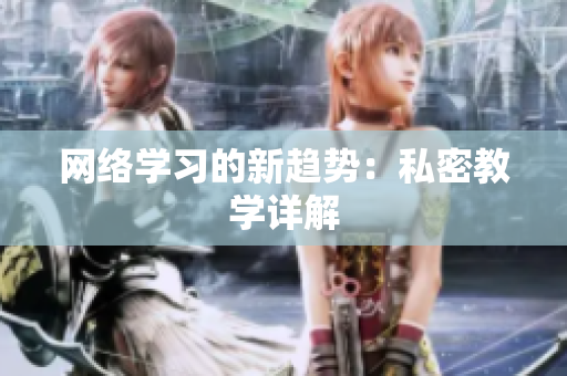 网络学习的新趋势：私密教学详解