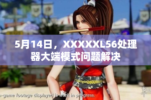 5月14日，XXXXXL56处理器大端模式问题解决