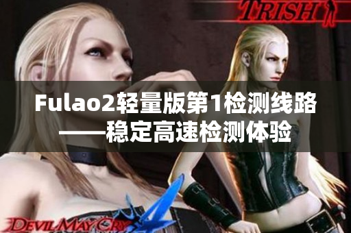 Fulao2轻量版第1检测线路——稳定高速检测体验