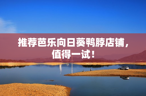 推荐芭乐向日葵鸭脖店铺，值得一试！