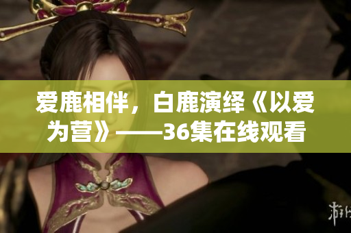 爱鹿相伴，白鹿演绎《以爱为营》——36集在线观看