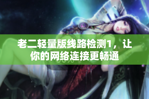 老二轻量版线路检测1，让你的网络连接更畅通