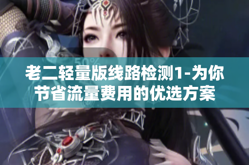 老二轻量版线路检测1-为你节省流量费用的优选方案