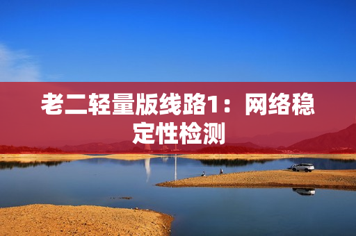 老二轻量版线路1：网络稳定性检测