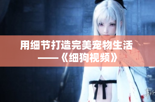 用细节打造完美宠物生活 ——《细狗视频》