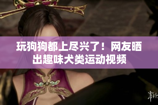 玩狗狗都上尽兴了！网友晒出趣味犬类运动视频