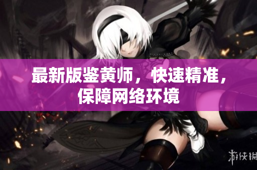 最新版鉴黄师，快速精准，保障网络环境