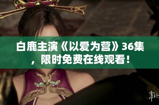 白鹿主演《以爱为营》36集，限时免费在线观看！