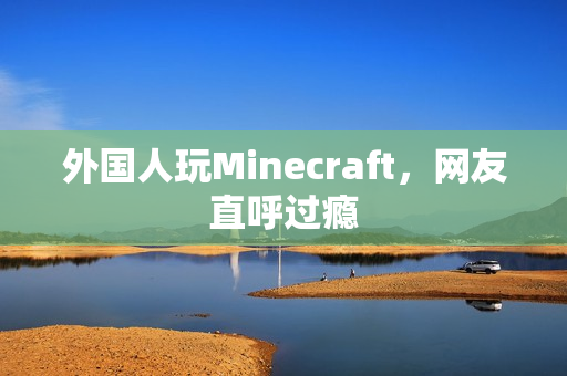 外国人玩Minecraft，网友直呼过瘾