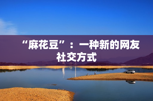 “麻花豆”：一种新的网友社交方式