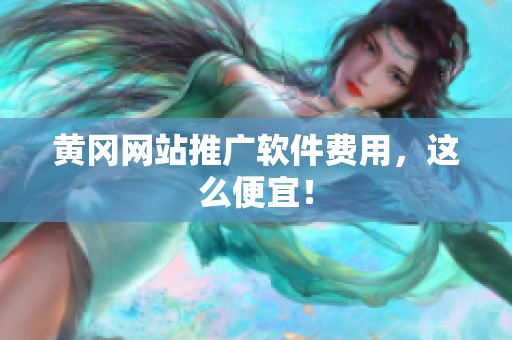 黄冈网站推广软件费用，这么便宜！