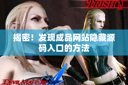 揭密！发现成品网站隐藏源码入口的方法