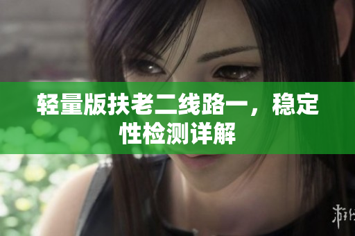 轻量版扶老二线路一，稳定性检测详解