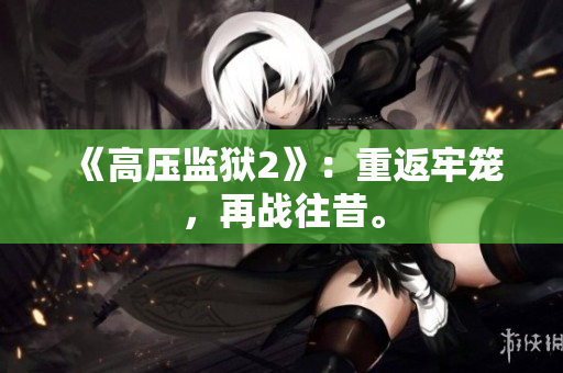 《高压监狱2》：重返牢笼，再战往昔。