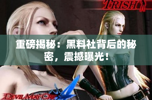 重磅揭秘：黑料社背后的秘密，震撼曝光！