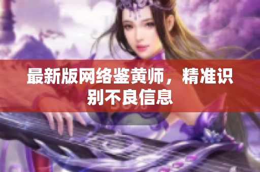 最新版网络鉴黄师，精准识别不良信息