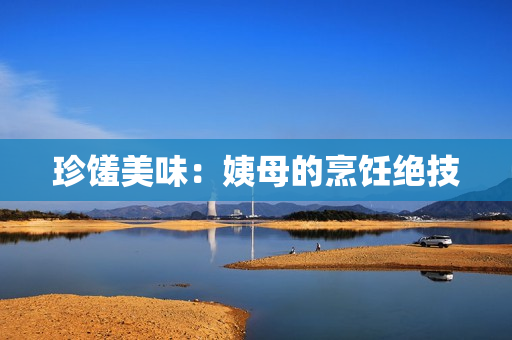 珍馐美味：姨母的烹饪绝技