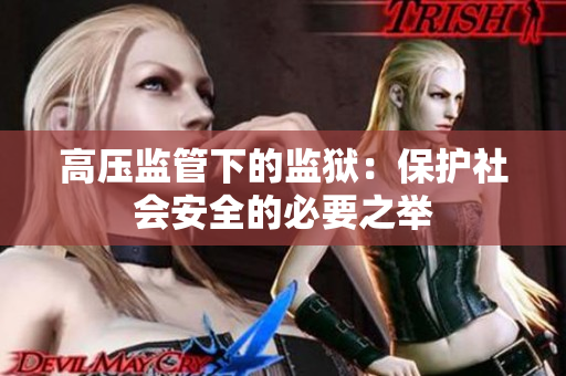 高压监管下的监狱：保护社会安全的必要之举