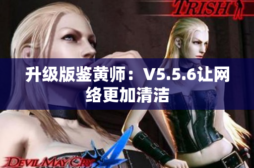 升级版鉴黄师：V5.5.6让网络更加清洁