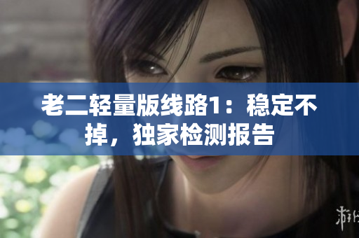 老二轻量版线路1：稳定不掉，独家检测报告