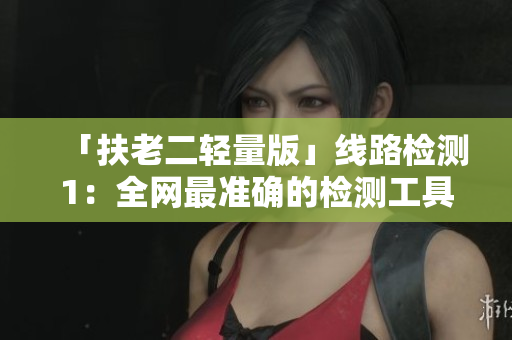 「扶老二轻量版」线路检测1：全网最准确的检测工具