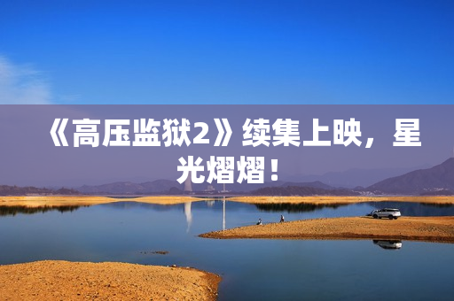 《高压监狱2》续集上映，星光熠熠！
