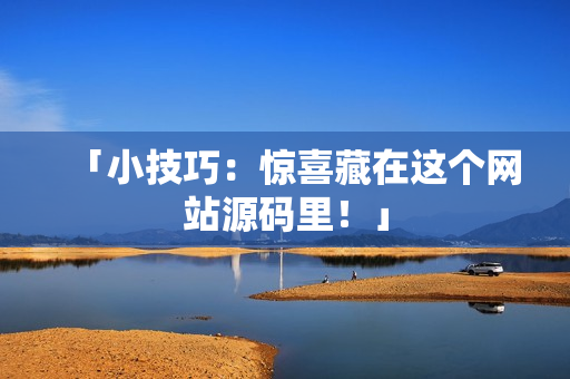 「小技巧：惊喜藏在这个网站源码里！」
