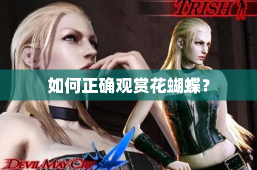 如何正确观赏花蝴蝶？