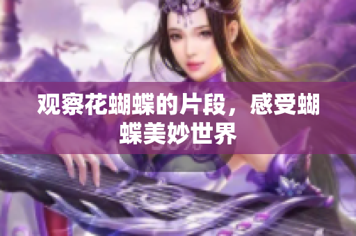 观察花蝴蝶的片段，感受蝴蝶美妙世界