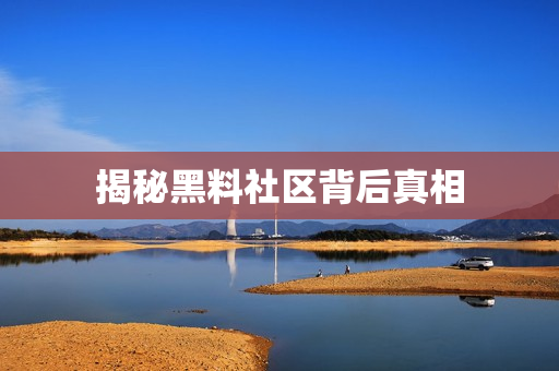 揭秘黑料社区背后真相