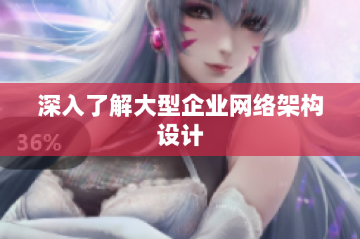 深入了解大型企业网络架构设计
