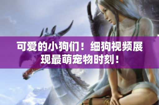 可爱的小狗们！细狗视频展现最萌宠物时刻！