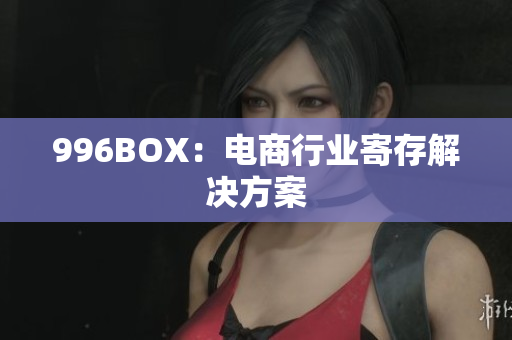 996BOX：电商行业寄存解决方案