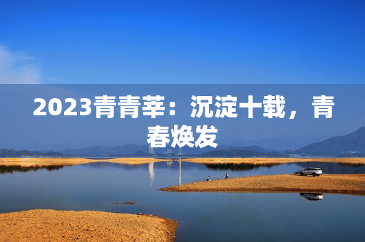 2023青青莘：沉淀十载，青春焕发