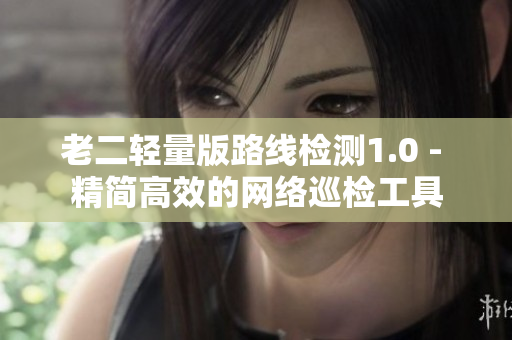 老二轻量版路线检测1.0 - 精简高效的网络巡检工具